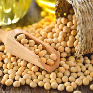 Read more about the article Figuring out – Soybeans Suppliers, Wholesale Soybeans Manufacturers