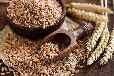 Read more about the article How G&P General Trading Corporation Can Help You Source and Procure Wheat Worldwide