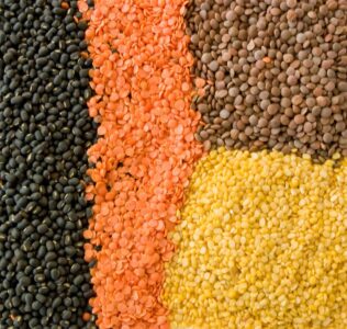 Read more about the article The Ultimate Guide to Sourcing Lentils: How G&P General Trading Corporation Can Help You