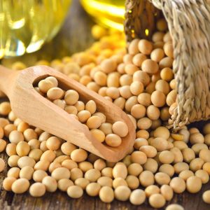 Soybeans main page