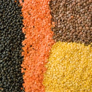 kinds-lentils.jpeg